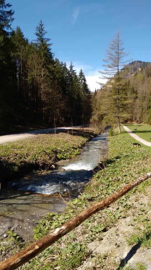 Schwaigeralm Inn Kreuth
